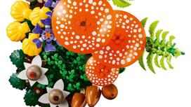 lego konstruktoris - Lego Botanicals Miško grybai 11505 - 10 nuotrauka