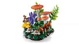 lego konstruktoris - Lego Botanicals Miško grybai 11505 - 11 nuotrauka