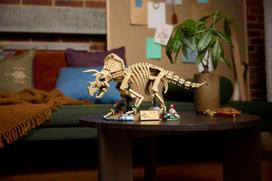 fosilij - Lego Jurassic World Dinosauro fosilijos: Triceratops 77985 - 4 nuotrauka