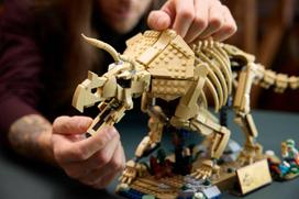 fosilij - Lego Jurassic World Dinosauro fosilijos: Triceratops 77985 - 7 nuotrauka