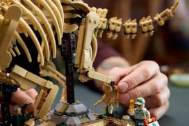 fosilij - Lego Jurassic World Dinosauro fosilijos: Triceratops 77985 - 8 nuotrauka