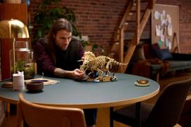 fosilij - Lego Jurassic World Dinosauro fosilijos: Triceratops 77985 - 12 nuotrauka