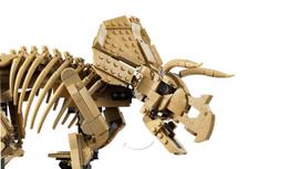 fosilij - Lego Jurassic World Dinosauro fosilijos: Triceratops 77985 - 13 nuotrauka