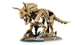 fosilij - Lego Jurassic World Dinosauro fosilijos: Triceratops 77985 - 14 nuotrauka