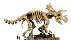 fosilij - Lego Jurassic World Dinosauro fosilijos: Triceratops 77985 - 15 nuotrauka