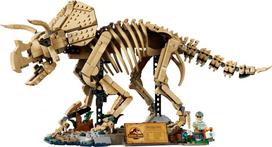 fosilij - Lego Jurassic World Dinosauro fosilijos: Triceratops 77985 - 16 nuotrauka