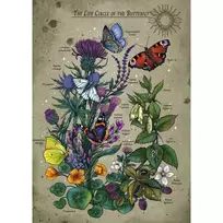 puzzle deliones 1000 - Ravensburger Lifecircle Butterfly, 70 x 50 cm, 1000 det. - 4 nuotrauka