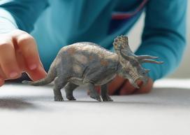 figureles gyvunu - Schleich Dinosaurs Triceratops 15000 - 2 nuotrauka