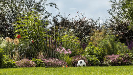 vandens siurblys - Bosch GardenPump 18V-2000 Solo - 4 nuotrauka