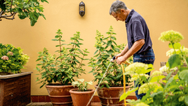 vandens siurblys - Bosch GardenPump 18V-2000 Solo - 6 nuotrauka