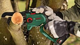 grandinini - Bosch EasyChain18V-15-7,1x2,5Ah - 8 nuotrauka