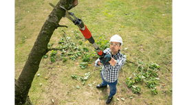 teleskopinis genetuvas - Bosch AdvancedPrune 18V-45 SOLO Akumuliatorinės žirklės - 4 nuotrauka