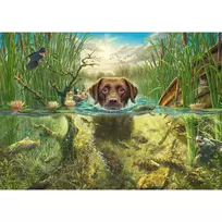 delione 3 - Schmidt Spiele Dog Love Brown Labrador in Cool Water 58572, 1000 det. - 2 nuotrauka