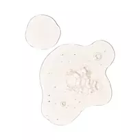 the ordinary - The Ordinary Lactic Acid 10% + HA serumas veidui, 30 ml - 4 nuotrauka