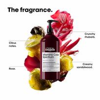 sampunai - Šampūnas L'Oreal, 1500 ml - 4 nuotrauka