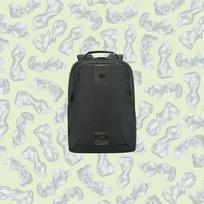 wenger kuprine -  Wenger MX Eco Professional, pilka, 20 l, 10-16" - 7 nuotrauka