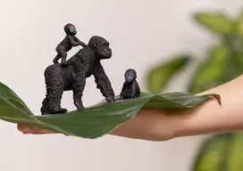 gorilla - Žaislinė figūrėlė Schleich Wild Life Gorilla Family 42601S, 3 vnt., juoda - 3 nuotrauka