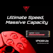 2 liters - SSD Patriot Viper VP4300L M.2 PCI-Ex4 NVMe 4TB - 3 nuotrauka