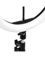led lempa - Activeshop GLOW Ring Lamp 10" su stovu 10W - 4 nuotrauka