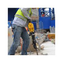 kaltas hex 28 - DT6929 DEWALT Kaltas atkirtimui 36 mm - 2 nuotrauka