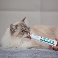 hairball - VetExpert TrichoCat pasta nuo plaukų kamuoliukų katėms, 50 g - 2 nuotrauka