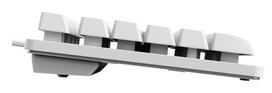 anglys - KEYBOARD USB GXT 833W THADO/TKL ENG WHITE 25894 TRUST - 3 nuotrauka