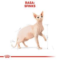 royal canin sausas maistas katems - Royal Canin Sphynx Adult sausas maistas sfinksų veislės katėms, 2 kg - 7 nuotrauka