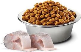 farmina n d - Sausas šunų maistas Farmina N&D White Fish Monoprotein, žuvis, 2 kg - 3 nuotrauka