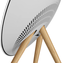 alus kolonele - Bang & Olufsen Beosound A9 5.G Natural Aluminium B - FLEX - 3 nuotrauka