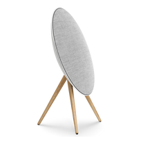 alus kolonele - Bang & Olufsen Beosound A9 5.G Natural Aluminium B - FLEX - 5 nuotrauka