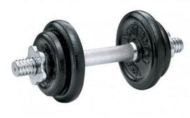 Ketaus Hantelis Trend 10Kg