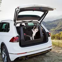 voljeras sunims - FERPLAST Atlas Car 100 Scenic, autovežis gyvūnams - 7 nuotrauka