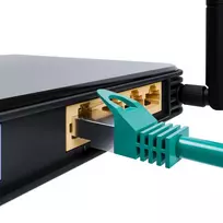 6 cat lan - Esperanza Cable FTP 6 Green 3m - 2 nuotrauka