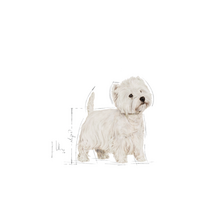 sunu maistas - Royal Canin West Highland White Terrier Adult 3 kg - 7 nuotrauka