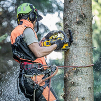 grandinini - DeWalt DCMCST635N 54V 35cm - 3 nuotrauka