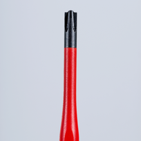 ph2 0 - Atsuktuvas Knipex 982402SLS; SL/PH2; 100 mm - 2 nuotrauka