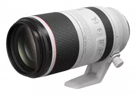 500mm objektyva - Canon RF 100-500mm f/4.5-7.1L IS USM Lens - 7 nuotrauka
