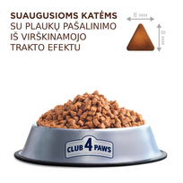 hairball - CLUB 4 PAWS Premium pilnavertis sausas maistas suaugusioms katėms su vilnos pašalinimu iš virškinamojo trakto "HAIRBALL CONTROL“, 14 kg - 2 nuotrauka