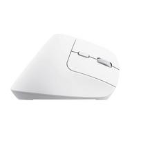 mouse ergonomic - MOUSE USB OPTICAL WRL BAYO /ERGONOMIC WHT 25399 TRUST - 4 nuotrauka