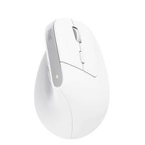 mouse ergonomic - MOUSE USB OPTICAL WRL BAYO /ERGONOMIC WHT 25399 TRUST - 6 nuotrauka