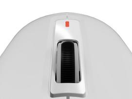 bluetooth peles - Genesis Gaming Mouse | Zircon 660 | Wired/Wireless | 2.4 GHz, Bluetooth, USB | White | NMG-2192 - 12 nuotrauka