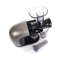 letaeige sulciaspaude - G21 600858 - 14 nuotrauka