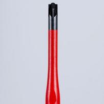 pliusas - Atsuktuvas Knipex 982502SLS; SL/PZ2; 100 mm - 2 nuotrauka