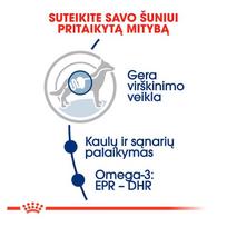sunu sausas maistas 15 kg - Royal Canin Maxi Adult 15 + 3 kg - 2 nuotrauka