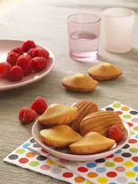 plato - Vaflinė Tefal XA801512 Snack Collection - Box 15: Mini madeleines - 2 nuotrauka