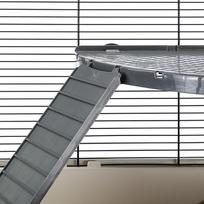 seskas -  Furet Plus, 80x50x70 cm - 8 nuotrauka