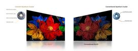 qled televizorius - TCL 43S59K - 2 nuotrauka