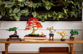 lego mini - LEGO Botanical Mini bonsai 10373 - 5 nuotrauka