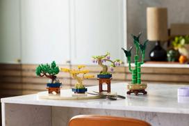 lego mini - LEGO Botanical Mini bonsai 10373 - 6 nuotrauka
