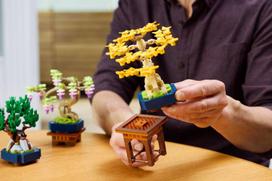 lego mini - LEGO Botanical Mini bonsai 10373 - 7 nuotrauka